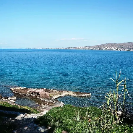 Suites 4* Πέρδικα